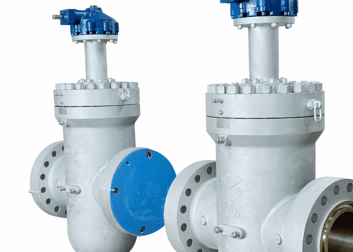 EPI Valves — two silver gate valves with blue gear operators